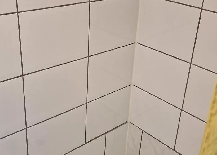 Tiny House Op Volkstuinverenging *