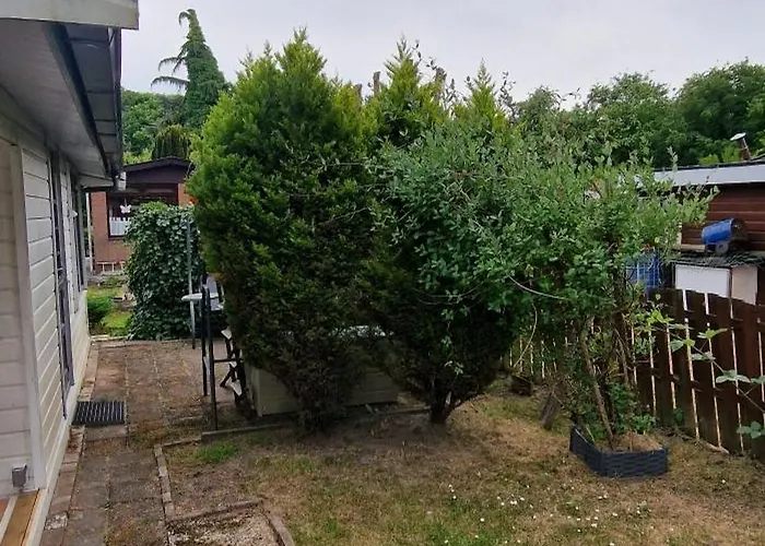 Tiny House Op Volkstuinverenging 营地